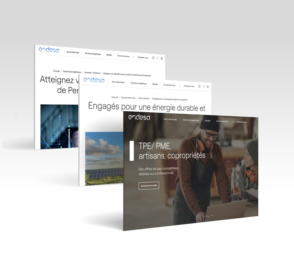 Site Internet — Endesa