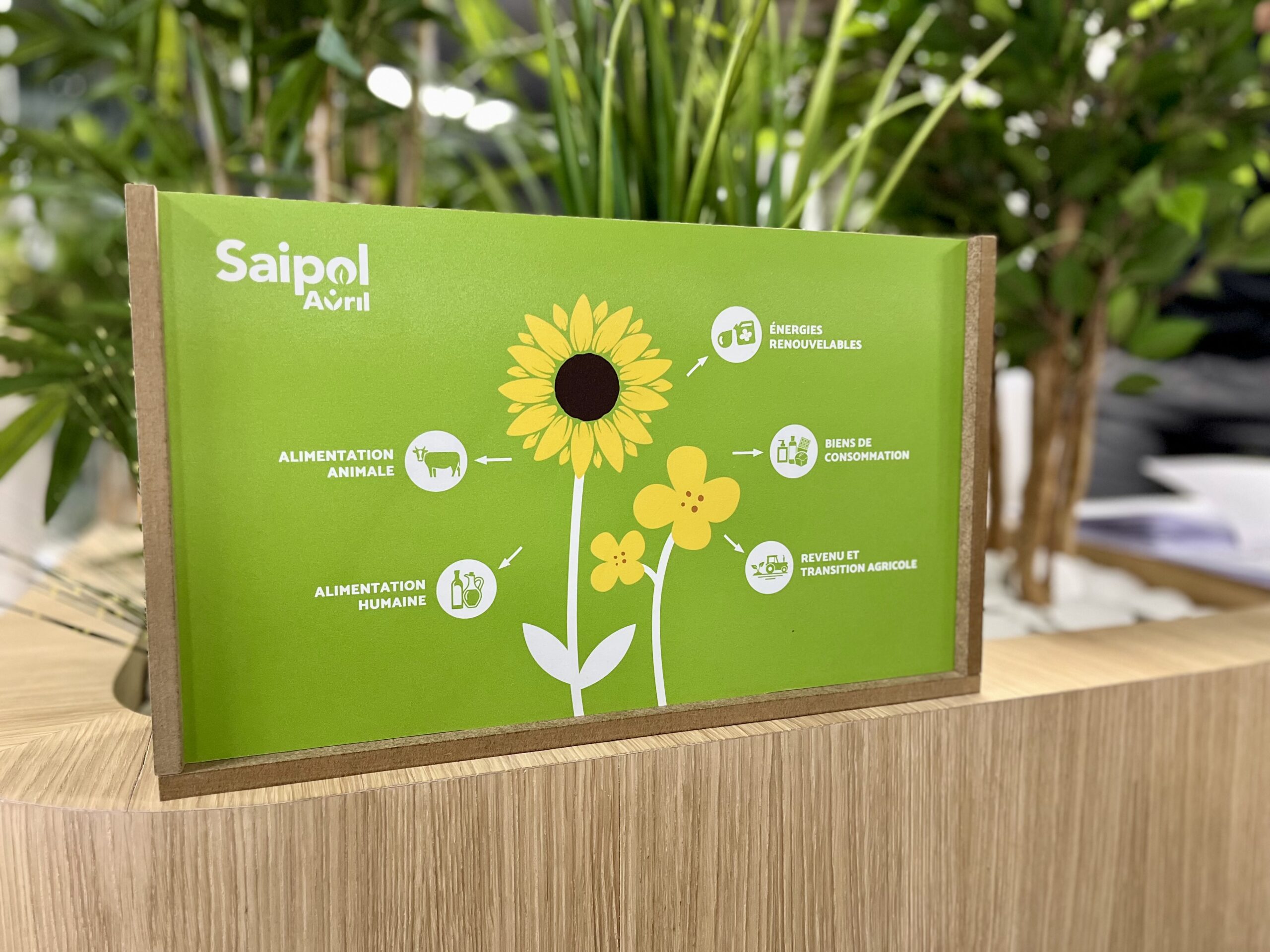 Réalisation agence Bee Happy pour Saipol - support de présentation tout-en-un totalement éco-conçu