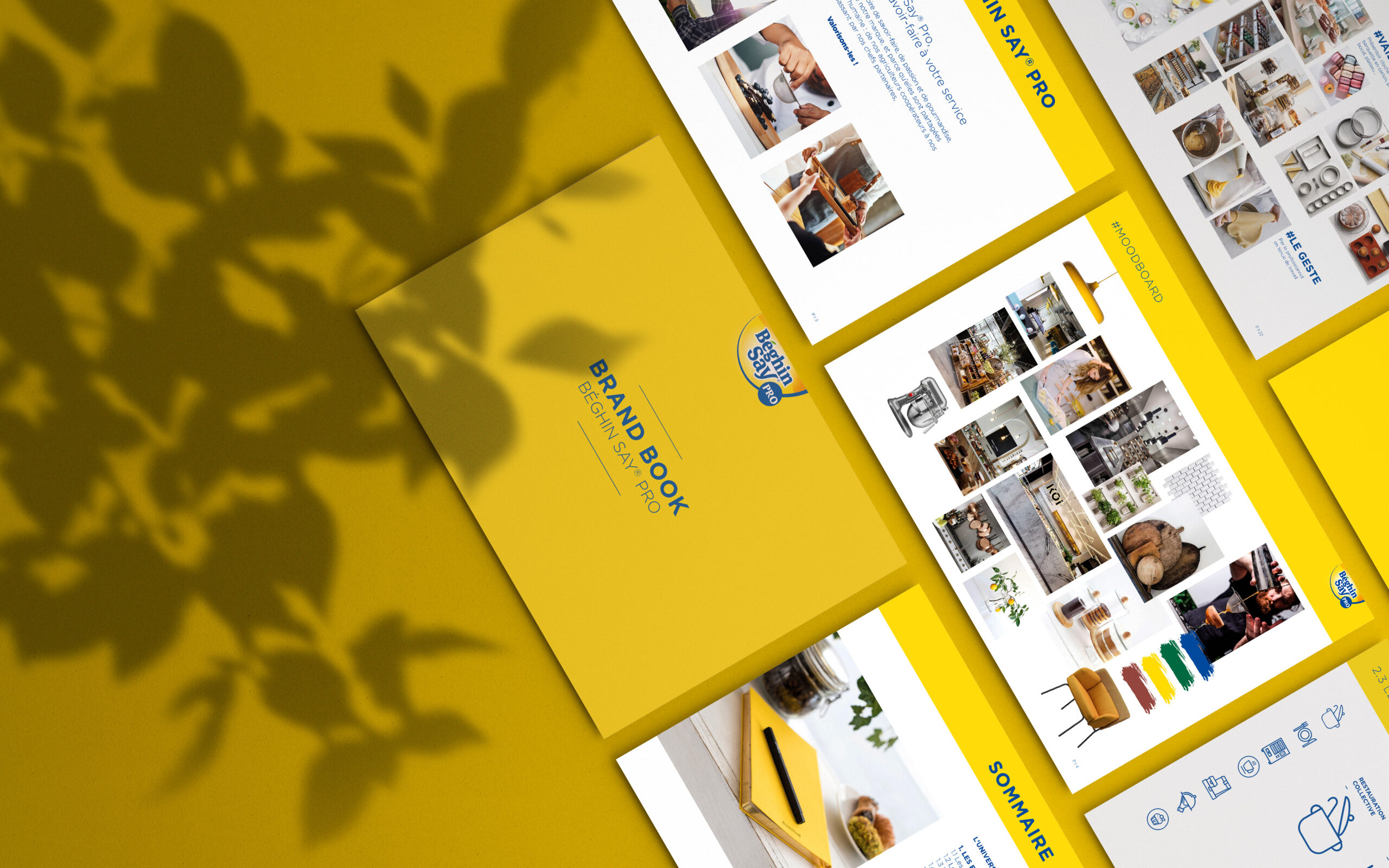identite graphique beghin say pro