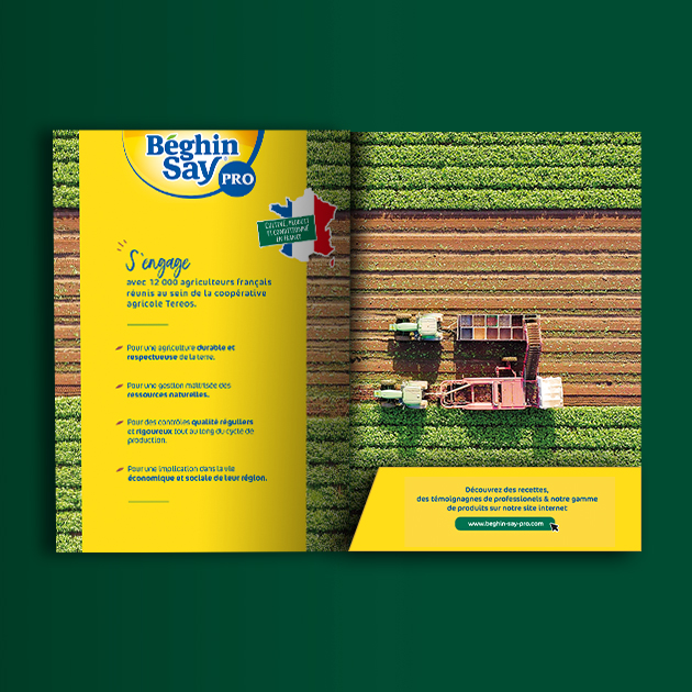interieur livret graphique beghin say pro