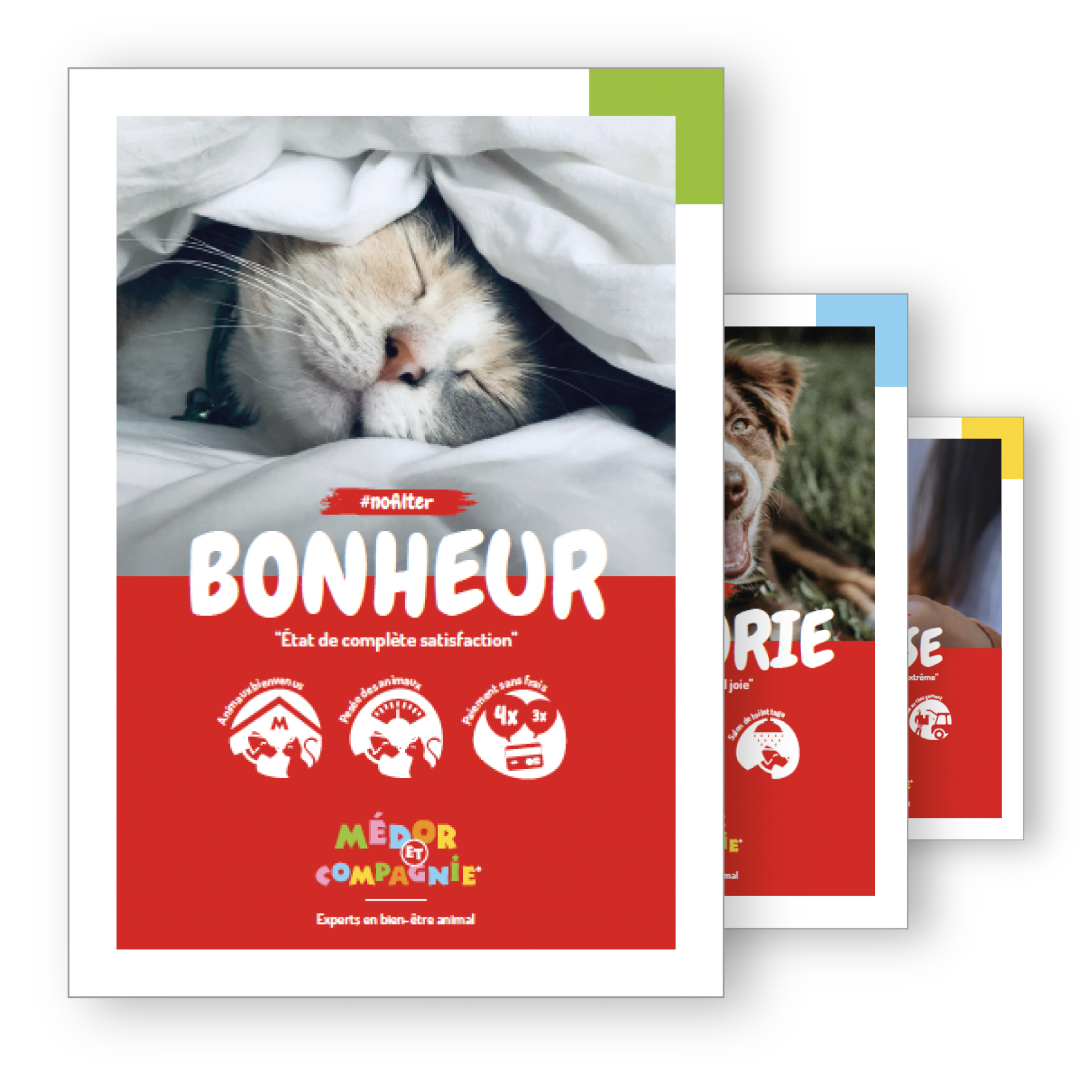 kv identite medor et compagnie miniature
