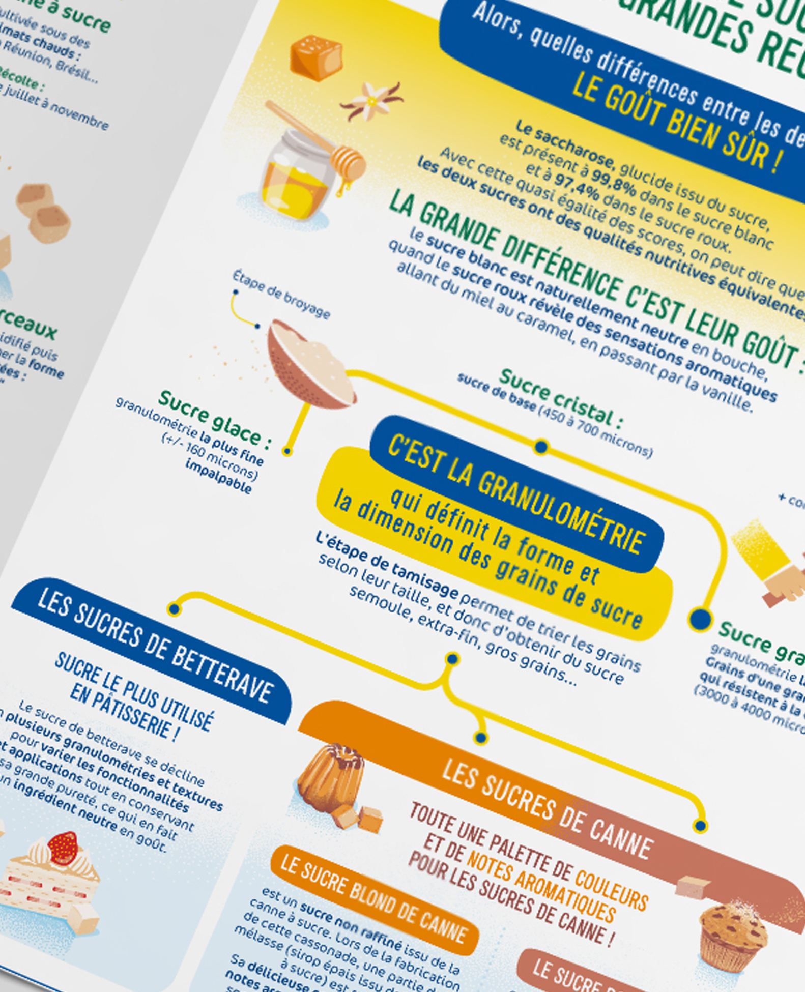 livret infographie beginsaypro interieur
