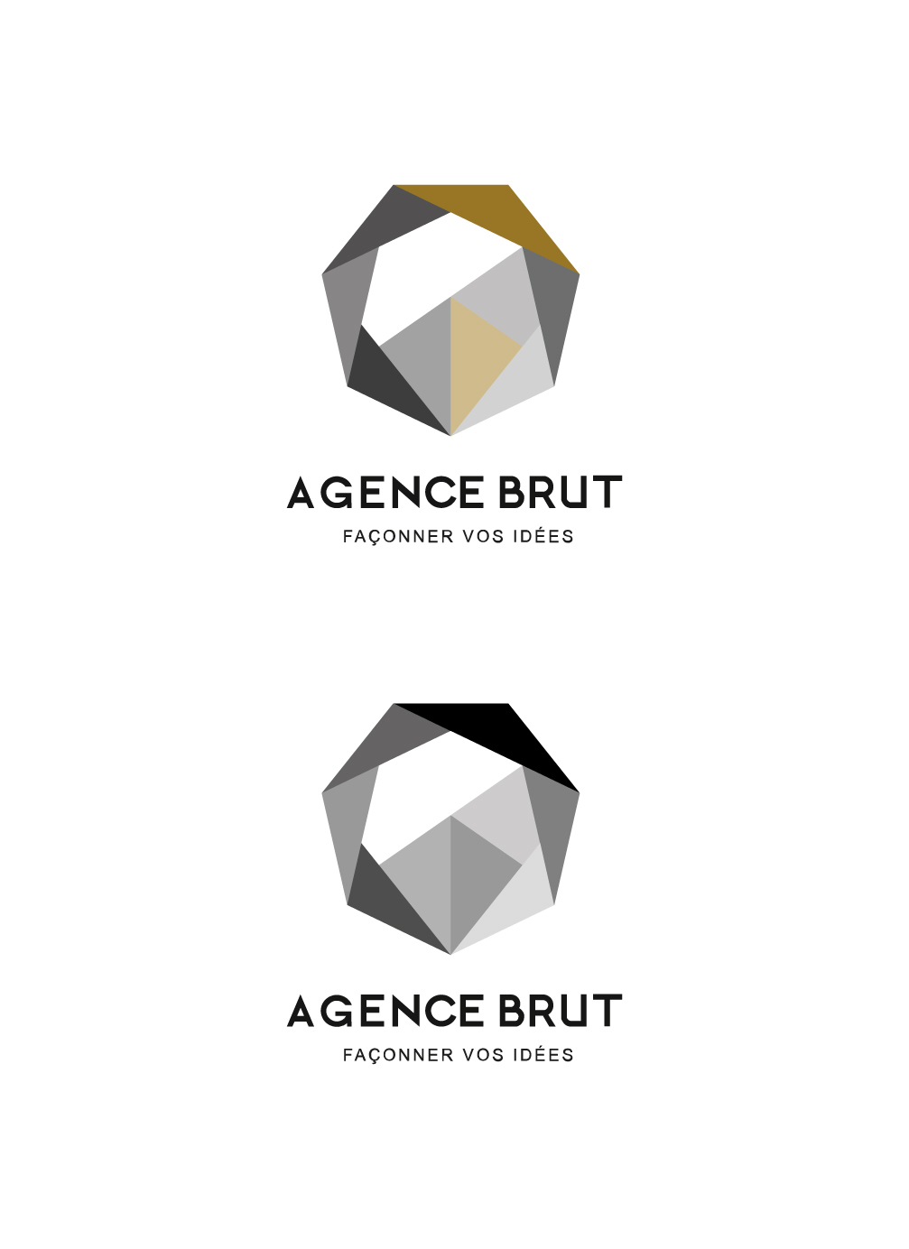 logo agence brut 2020