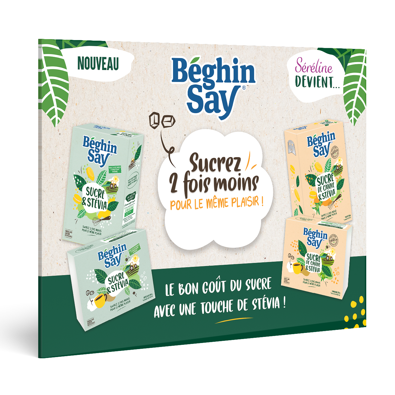 miniature kv lancement stevia 2