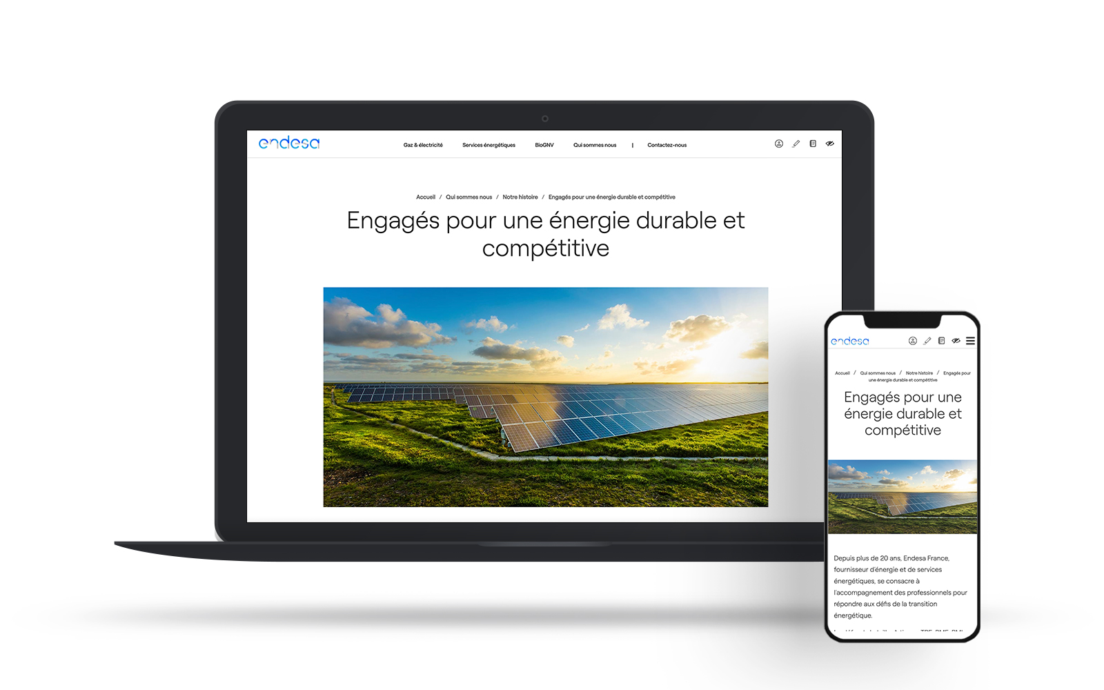 mockup endesa2