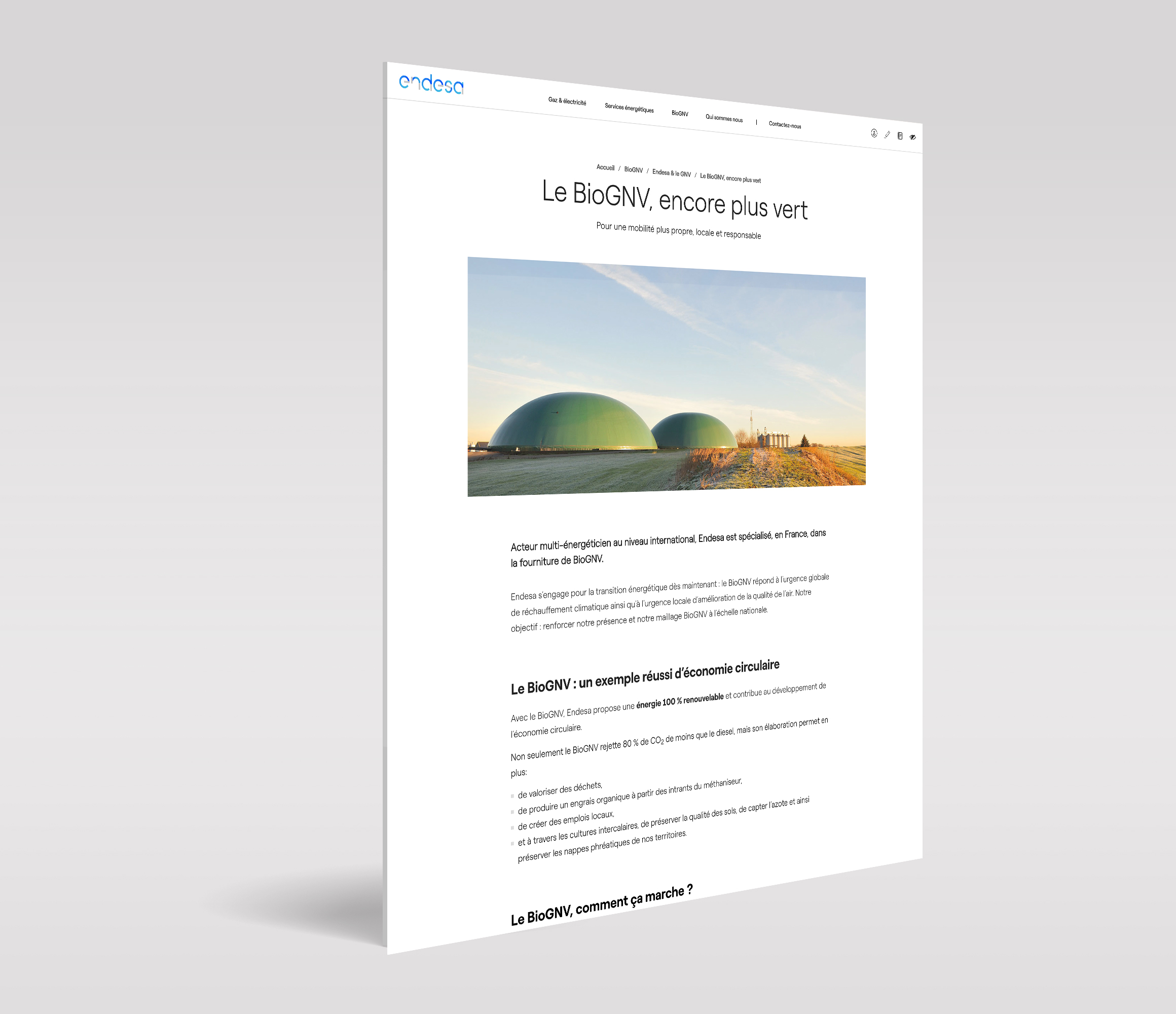 mockup endesa3